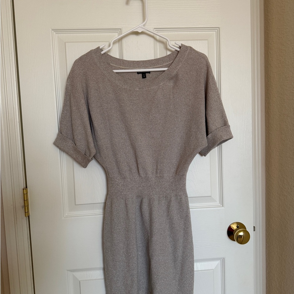 Shimmering Gray Short Sleeve Dress